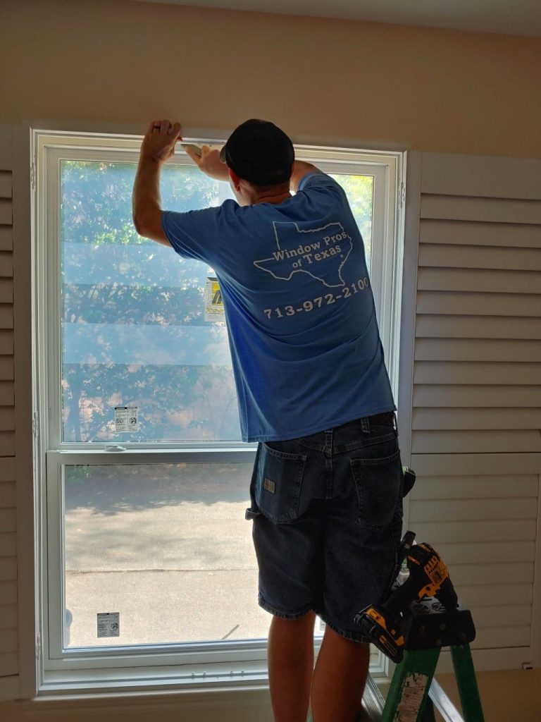 Window Installation Services